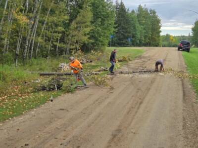 2024 Tree Clearing Volunteers