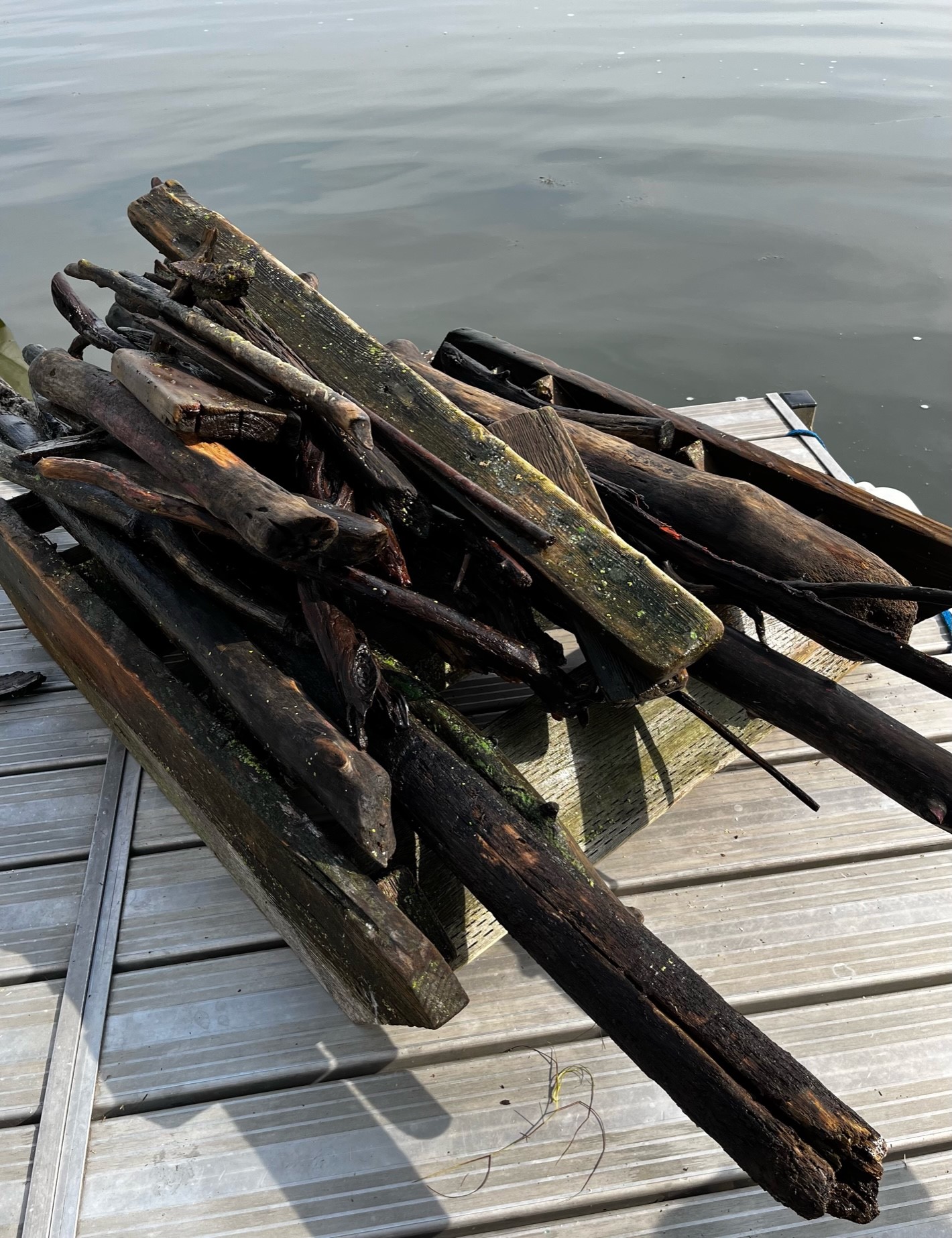 Lake Debris